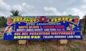 IMG_20241129_113835